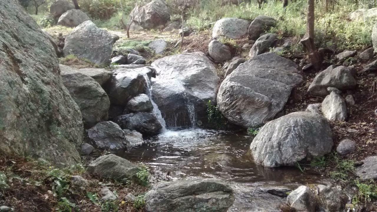 شقة Costa Com Departamentos De Montana Merlo المظهر الخارجي الصورة